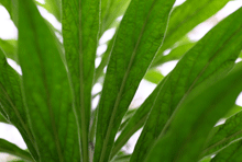 Environmentally-friendly waterproofing products